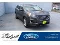 Magnetic 2019 Ford Edge SEL