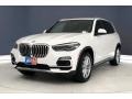 Alpine White - X5 xDrive40i Photo No. 11