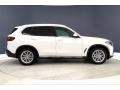 Alpine White - X5 xDrive40i Photo No. 30