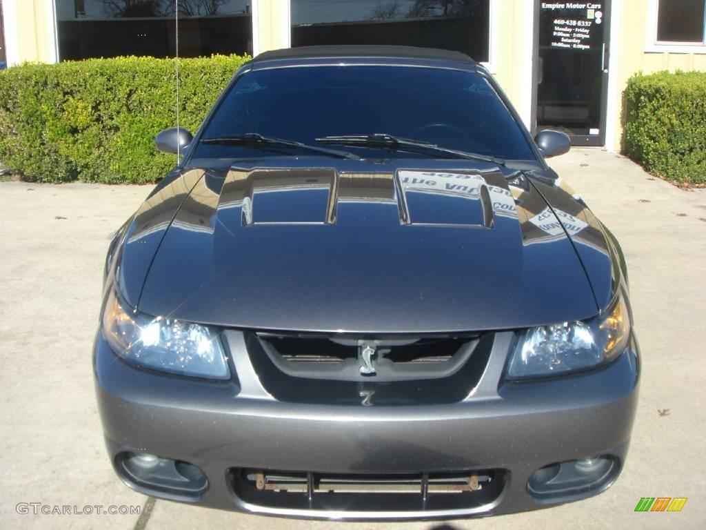 2003 Mustang Cobra Convertible - Dark Shadow Grey Metallic / Dark Charcoal photo #2
