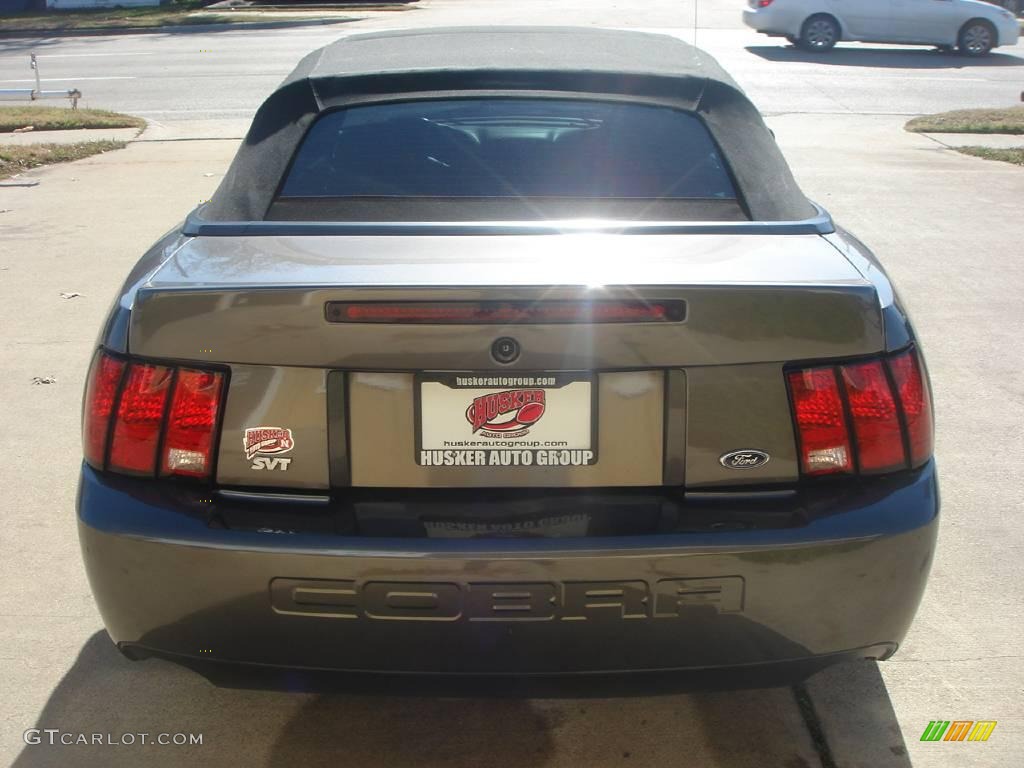 2003 Mustang Cobra Convertible - Dark Shadow Grey Metallic / Dark Charcoal photo #5