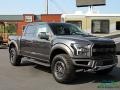 Magnetic - F150 SVT Raptor SuperCrew 4x4 Photo No. 7