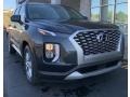 Steel Graphite - Palisade SE AWD Photo No. 1