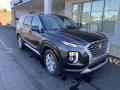 Steel Graphite - Palisade SE AWD Photo No. 2