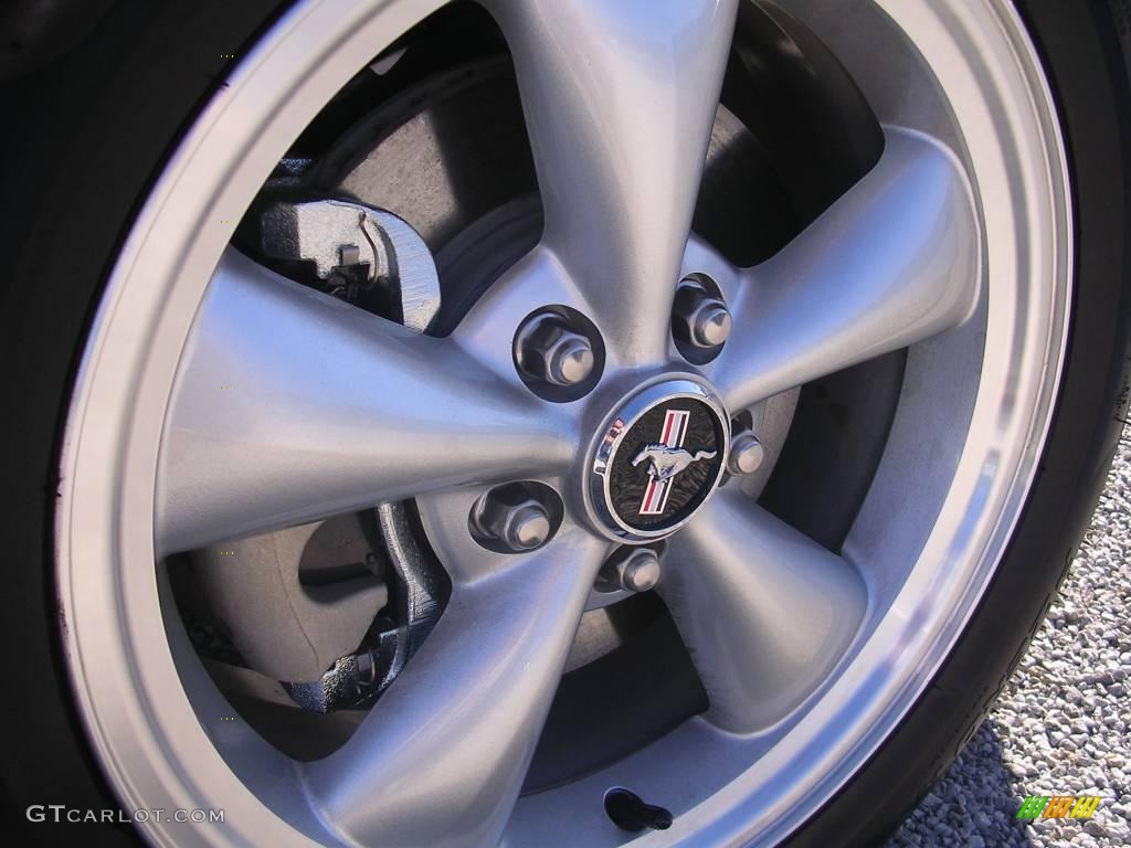 2009 Mustang V6 Premium Coupe - Alloy Metallic / Dark Charcoal photo #13