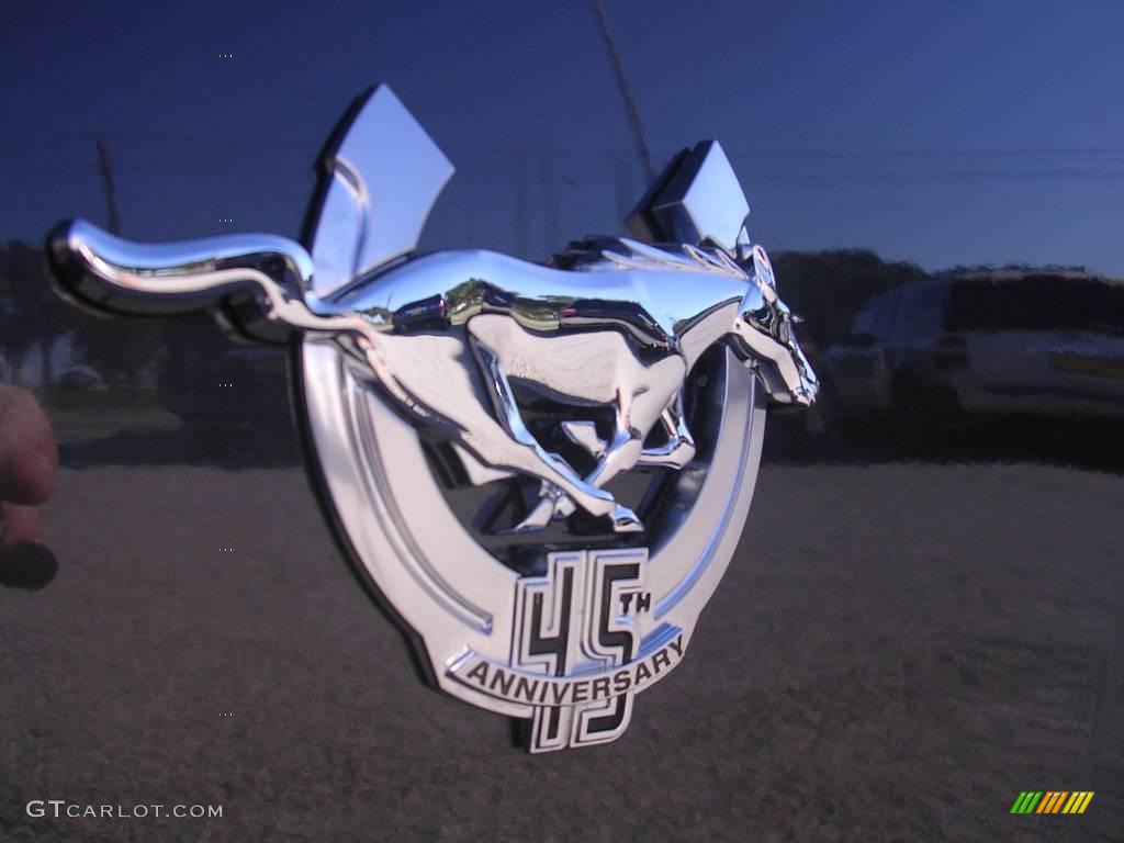 2009 Mustang V6 Premium Coupe - Alloy Metallic / Dark Charcoal photo #14
