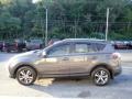 Magnetic Gray Metallic - RAV4 XLE Photo No. 4