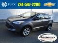 Sterling Gray Metallic 2013 Ford Escape SE 1.6L EcoBoost 4WD