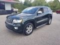 Natural Green Pearl 2011 Jeep Grand Cherokee Limited 4x4