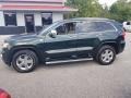 Natural Green Pearl - Grand Cherokee Limited 4x4 Photo No. 2