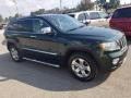 Natural Green Pearl - Grand Cherokee Limited 4x4 Photo No. 24