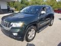 Natural Green Pearl - Grand Cherokee Limited 4x4 Photo No. 30