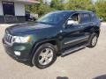 Natural Green Pearl - Grand Cherokee Limited 4x4 Photo No. 31