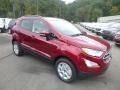 2019 Ruby Red Metallic Ford EcoSport SE 4WD  photo #3
