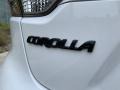 2020 Toyota Corolla SE Badge and Logo Photo