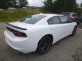 White Knuckle - Charger SXT AWD Photo No. 5
