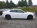 White Knuckle - Charger SXT AWD Photo No. 6