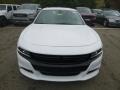White Knuckle - Charger SXT AWD Photo No. 8