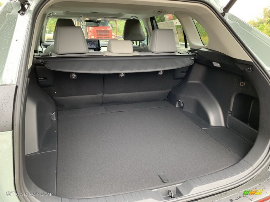 2019 Toyota RAV4 XLE AWD Trunk Photo #135325225