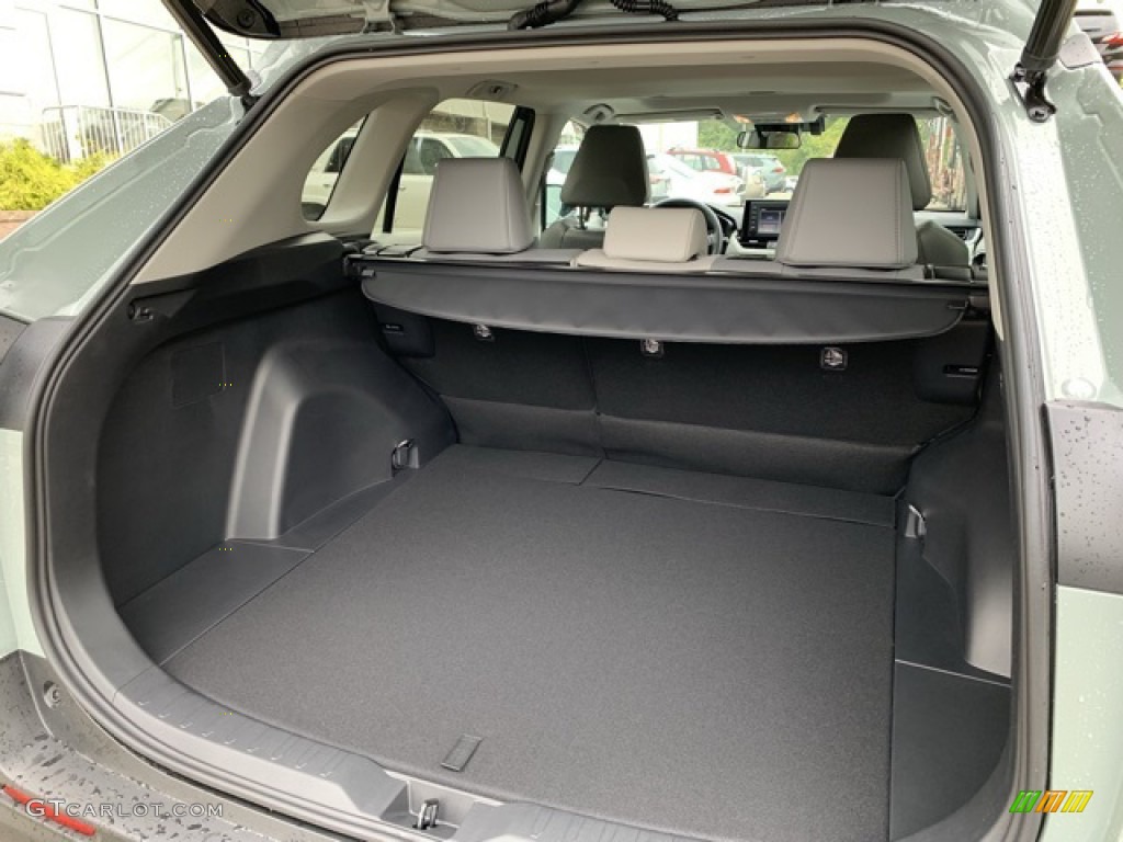 2019 Toyota RAV4 XLE AWD Trunk Photo #135325243