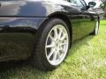 2001 Porsche 911 Carrera Coupe Wheel and Tire Photo