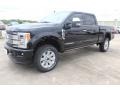 Agate Black - F250 Super Duty Platinum Crew Cab 4x4 Photo No. 3