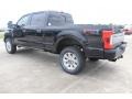 Agate Black - F250 Super Duty Platinum Crew Cab 4x4 Photo No. 6