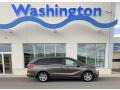 Pacific Pewter Metallic 2020 Honda Odyssey EX