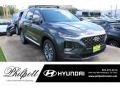 2020 Rainforest Hyundai Santa Fe SEL  photo #1