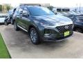 2020 Rainforest Hyundai Santa Fe SEL  photo #2