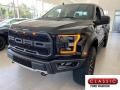 2019 Agate Black Ford F150 SVT Raptor SuperCrew 4x4  photo #1