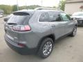 Sting-Gray - Cherokee Latitude Plus 4x4 Photo No. 5