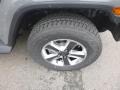 Sting-Gray - Wrangler Unlimited Sahara 4x4 Photo No. 10