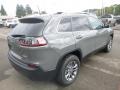 Sting-Gray - Cherokee Latitude Plus 4x4 Photo No. 5