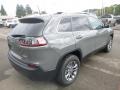 2020 Sting-Gray Jeep Cherokee Latitude Plus 4x4  photo #5