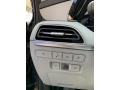 Black/Gray Controls Photo for 2020 Hyundai Palisade #135376169