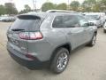 2020 Sting-Gray Jeep Cherokee Latitude Plus 4x4  photo #5