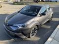 Magnetic Gray Metallic - C-HR XLE Photo No. 18