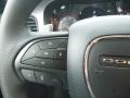 Destroyer Gray - Charger SXT AWD Photo No. 18