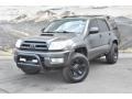 2005 Galactic Gray Mica Toyota 4Runner SR5 4x4  photo #5