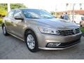 Titanium Beige - Passat S Sedan Photo No. 2