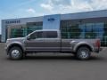 Magnetic Metallic - F450 Super Duty Platinum Crew Cab 4x4 Photo No. 3