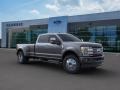 Magnetic Metallic - F450 Super Duty Platinum Crew Cab 4x4 Photo No. 7