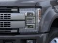 Magnetic Metallic - F450 Super Duty Platinum Crew Cab 4x4 Photo No. 18