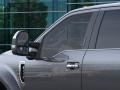Magnetic Metallic - F450 Super Duty Platinum Crew Cab 4x4 Photo No. 20