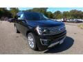 Agate Black Metallic 2019 Ford Expedition Platinum 4x4
