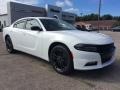 White Knuckle - Charger SXT AWD Photo No. 1