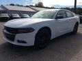 White Knuckle - Charger SXT AWD Photo No. 5