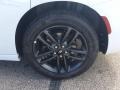 White Knuckle - Charger SXT AWD Photo No. 9
