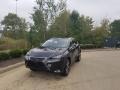 Caviar - NX 300 AWD Photo No. 1